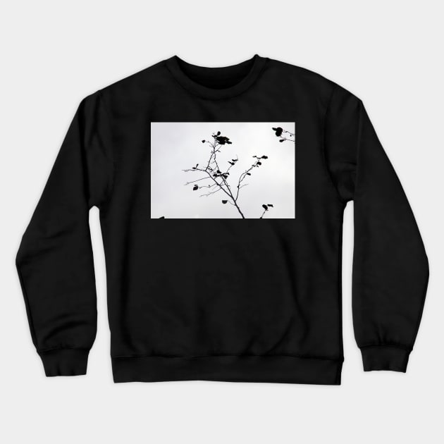 serenity Crewneck Sweatshirt by dw-fotografie